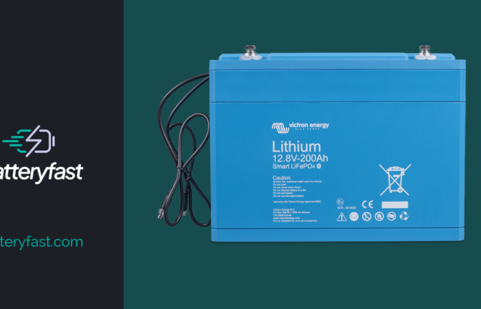 Lithium Iron Phosphate (LiFePO4) Battery